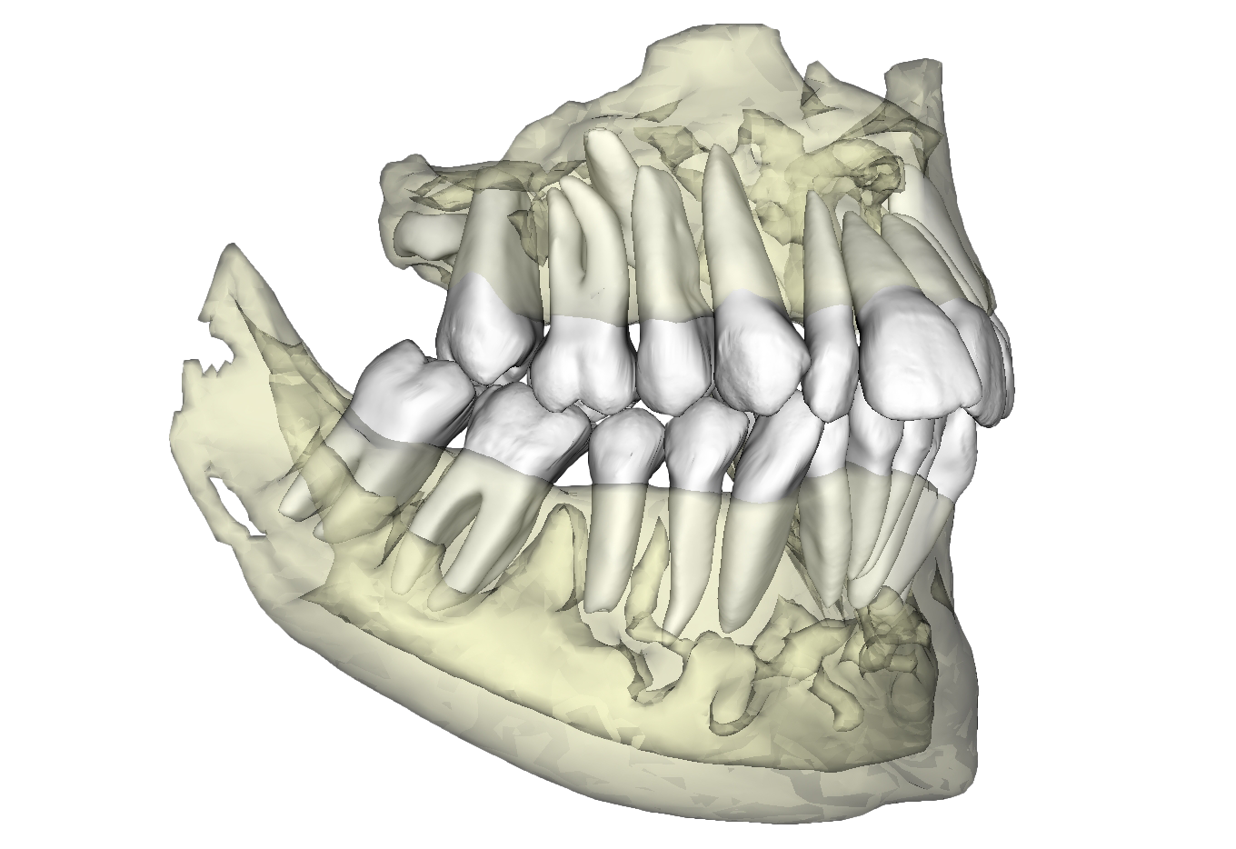 Invivo7 Screen